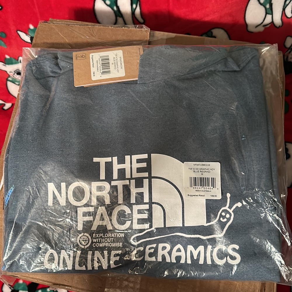 The North Face
X Online Ceramics Graphic Hoodie - Picture 6 of 7